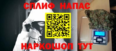 спайс Берёзовский