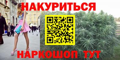прущие грибы Апшеронск