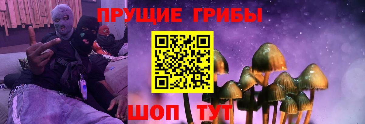 Псилоцибиновые грибы прущие грибы  Вход с VPN  Галлюциногенные грибы прущие грибы  Верхняя Пышма 